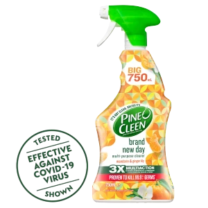 1897743_Hygiene_AU_Pine O Cleen_Brand New Day Multipurpose Trigger Spray Mandarin & Ginger Lily 750mL_1x1_V1.webp