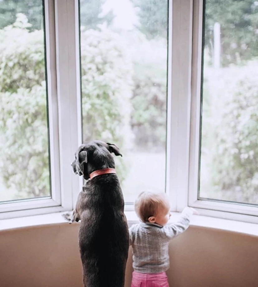 baby and dog looking through the window