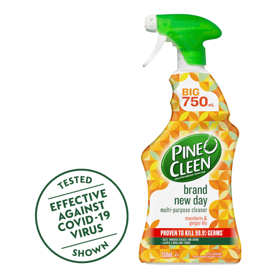 Pine O Cleen - AU - en-AU-pine_o_cleen_brand_new_day_multi_purpose_cleaner_mandarin_ginger_lily_750ml_1.png