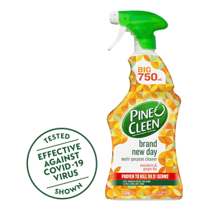 Pine O Cleen - AU - en-AU-pine_o_cleen_brand_new_day_multi_purpose_cleaner_mandarin_ginger_lily_750ml_1.png